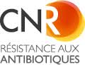 Accueil CNR Database Website